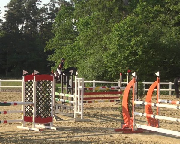 Reitturnier Nordstetten- Horb 2023