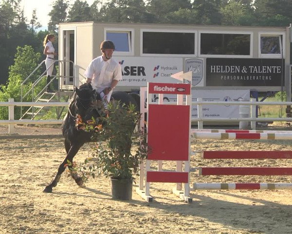 Reitturnier Nordstetten- Horb 2023