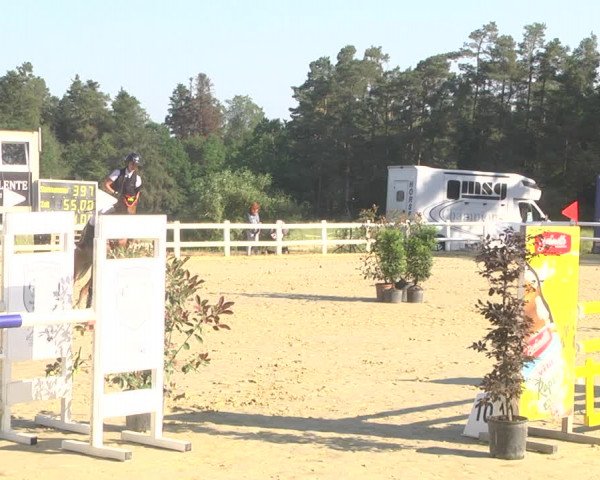 Reitturnier Nordstetten- Horb 2023