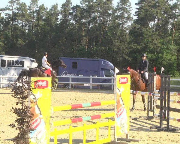 Reitturnier Nordstetten- Horb 2023