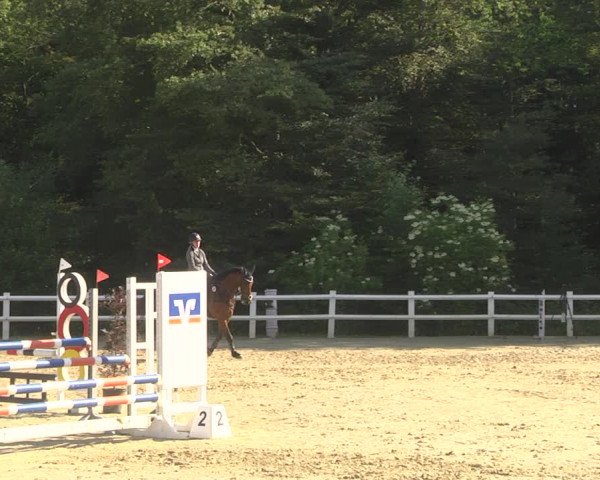 Reitturnier Nordstetten- Horb 2023