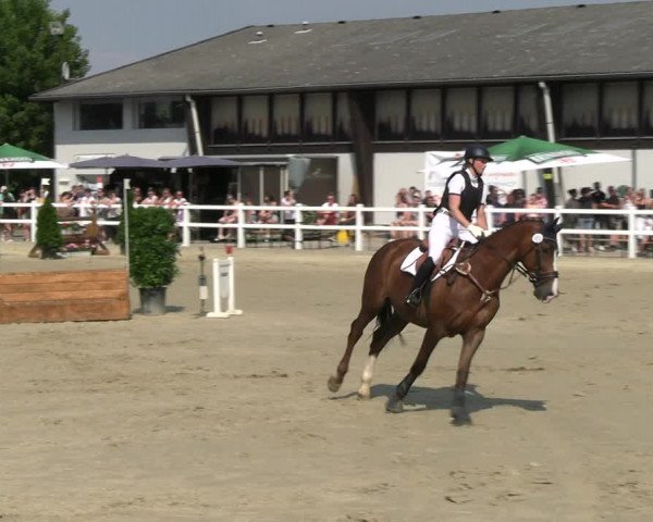 Reitturnier Dortmund-Somborn 2023