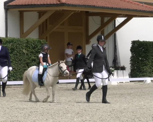 Reitturnier Avenches 2023