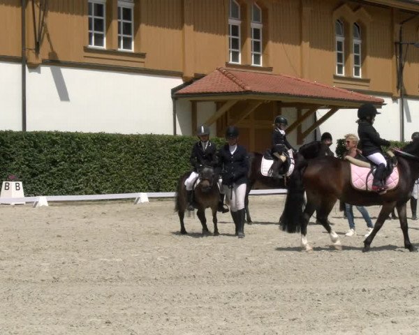 Reitturnier Avenches 2023