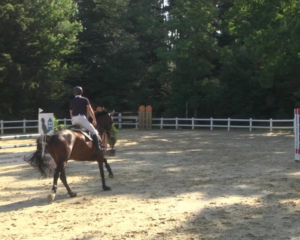 Reitturnier Nordstetten- Horb 2023