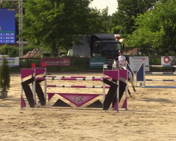 Reitturnier Schönfeld 2023