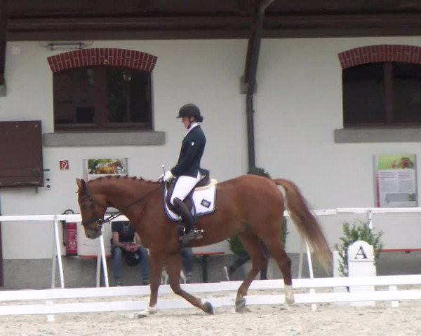 Reitturnier Avenches 2023
