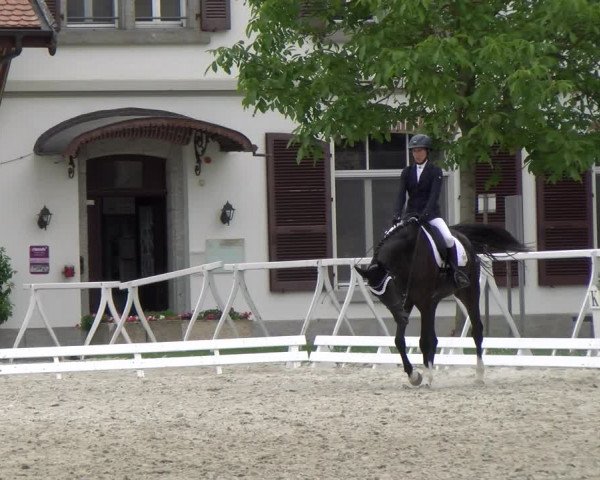 Reitturnier Avenches 2023