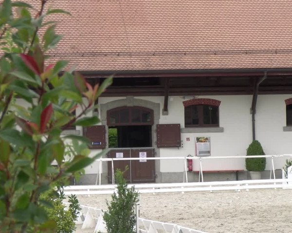 Reitturnier Avenches 2023