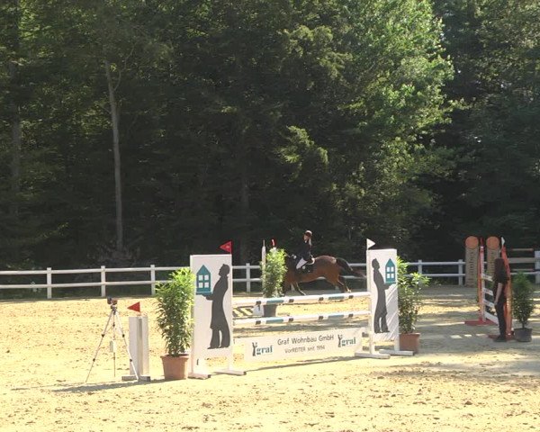 Reitturnier Nordstetten- Horb 2023