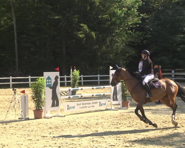 Reitturnier Nordstetten- Horb 2023