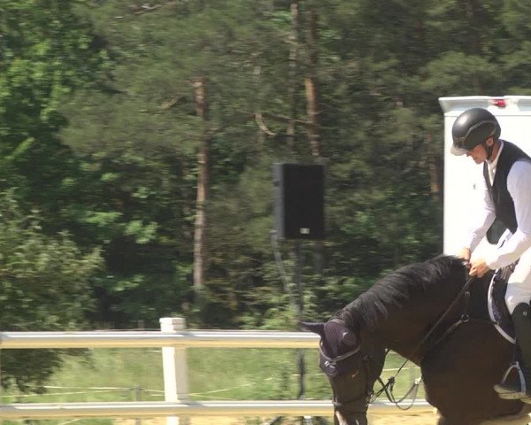 Reitturnier Nordstetten- Horb 2023