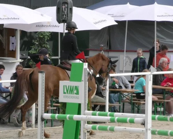 Reitturnier Ostenfelde-Vornholz 2023