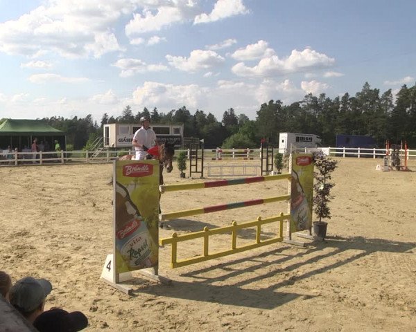 Reitturnier Nordstetten- Horb 2023