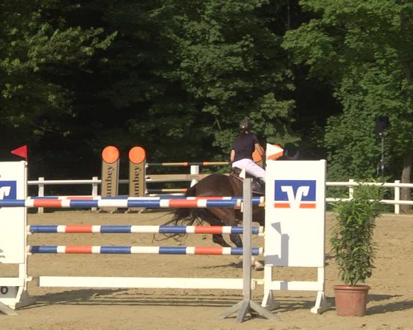 Reitturnier Nordstetten- Horb 2023