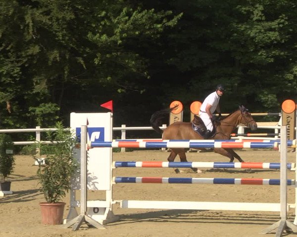 Reitturnier Nordstetten- Horb 2023