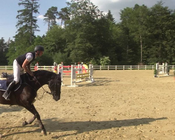 Reitturnier Nordstetten- Horb 2023