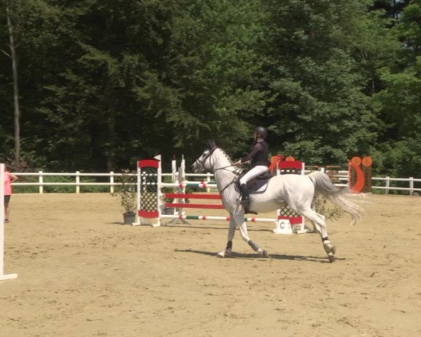 Reitturnier Nordstetten- Horb 2023