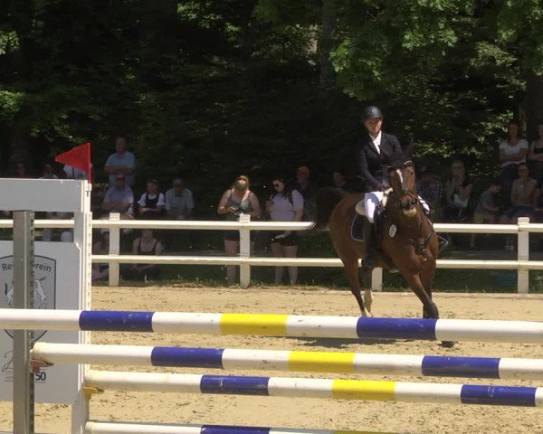 Reitturnier Nordstetten- Horb 2023
