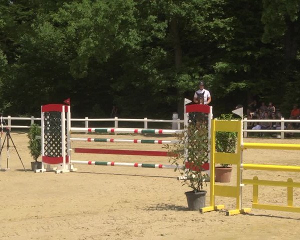 Reitturnier Nordstetten- Horb 2023