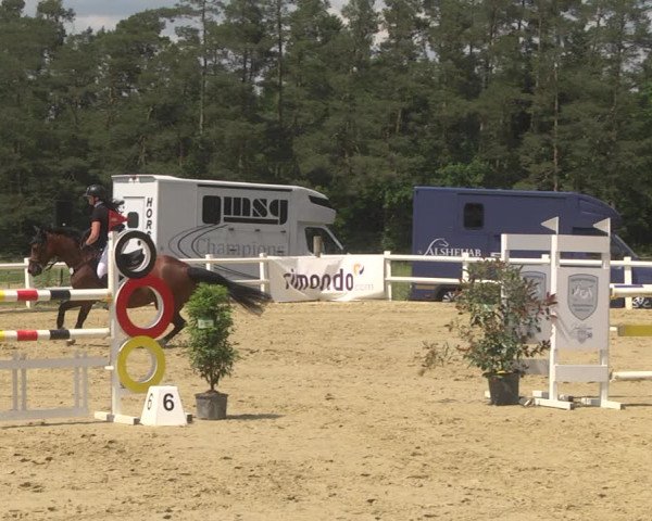 Reitturnier Nordstetten- Horb 2023
