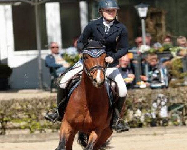 Katharina Utsch