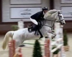 broodmare Celennio UK (anglo european sporthorse, 2009, from Ennio van Overis)