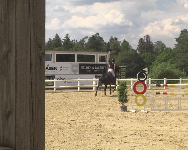 Reitturnier Nordstetten- Horb 2023