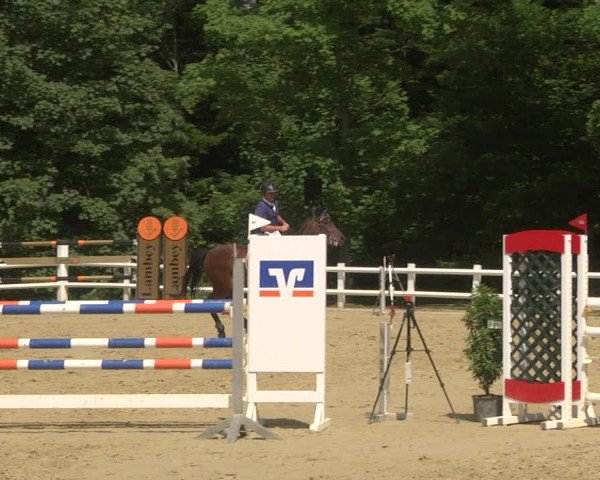 Reitturnier Nordstetten- Horb 2023