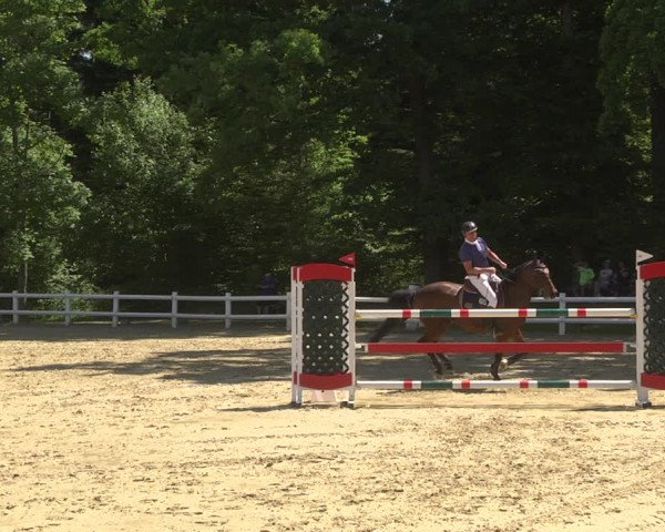 Reitturnier Nordstetten- Horb 2023