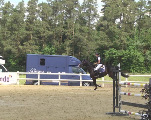Reitturnier Nordstetten- Horb 2023