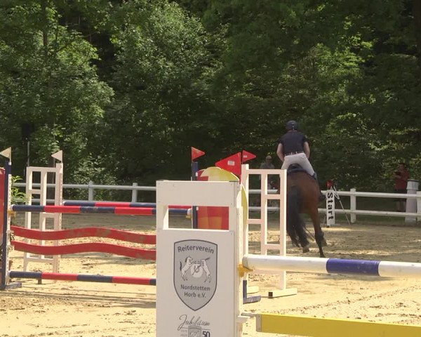 Reitturnier Nordstetten- Horb 2023