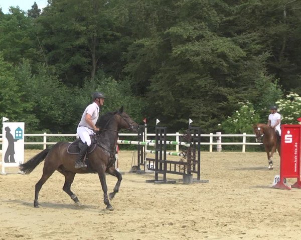 Reitturnier Nordstetten- Horb 2023