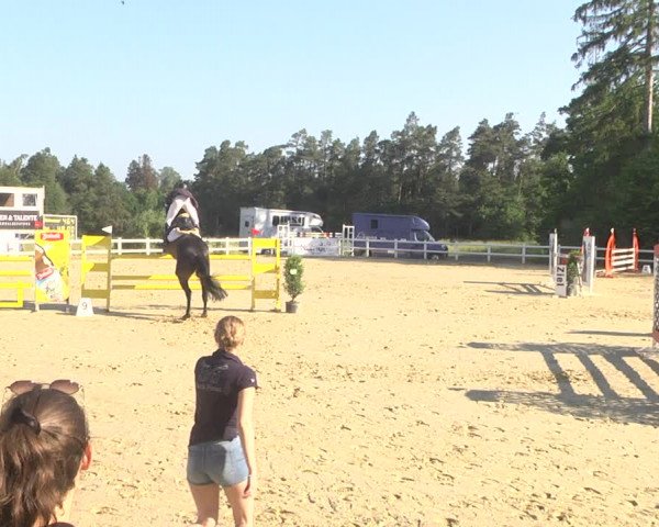 Reitturnier Nordstetten- Horb 2023