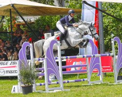 Springpferd Jubilee 8 (Holsteiner, 2016, von Clarimo Ask)