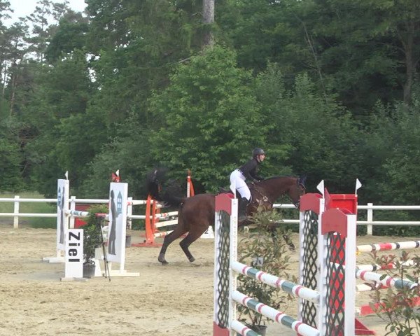 Reitturnier Nordstetten- Horb 2023
