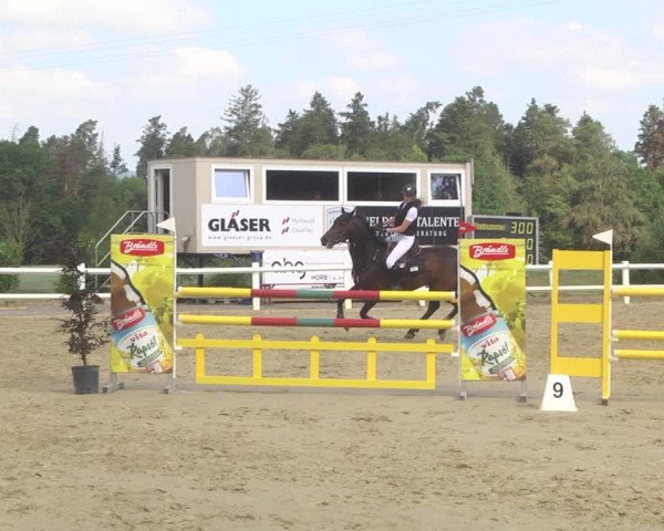 Reitturnier Nordstetten- Horb 2023