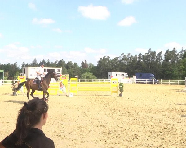 Reitturnier Nordstetten- Horb 2023