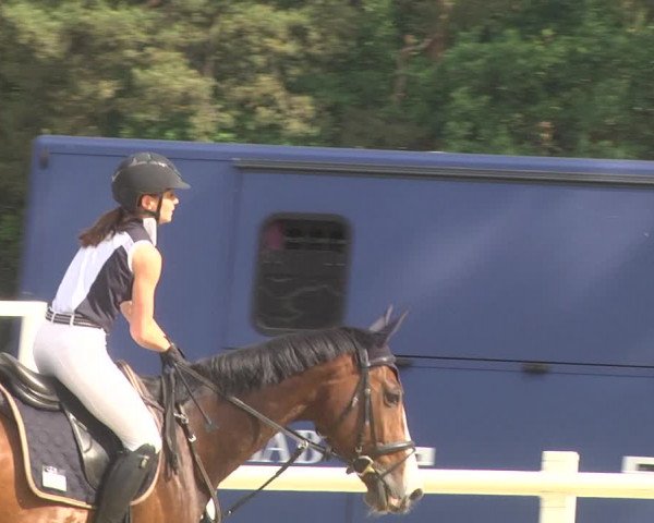 Reitturnier Nordstetten- Horb 2023