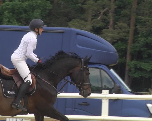 Reitturnier Nordstetten- Horb 2023