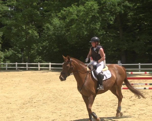 Reitturnier Nordstetten- Horb 2023