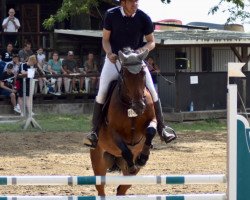 jumper Queen of Passion (Oldenburg, 2010, from Quintender 2)