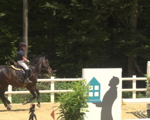 Reitturnier Nordstetten- Horb 2023