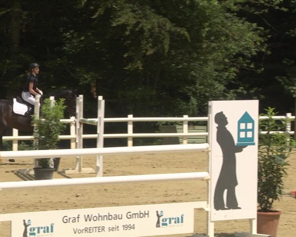 Reitturnier Nordstetten- Horb 2023