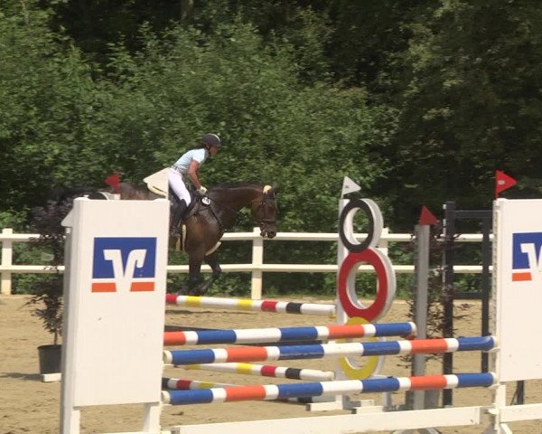 Reitturnier Nordstetten- Horb 2023