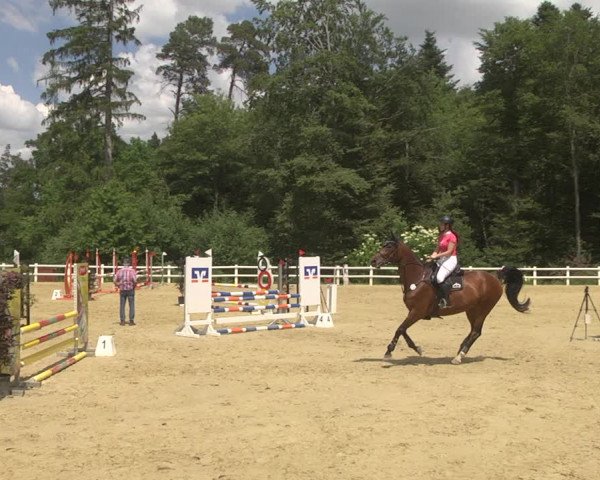 Reitturnier Nordstetten- Horb 2023