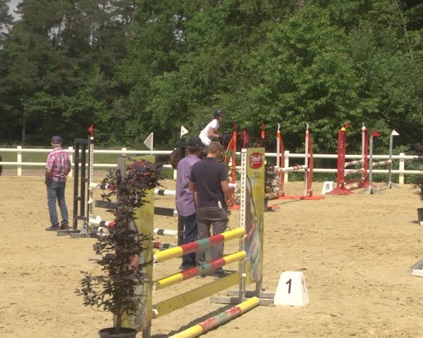 Reitturnier Nordstetten- Horb 2023