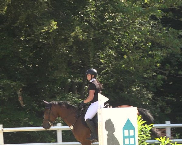 Reitturnier Nordstetten- Horb 2023