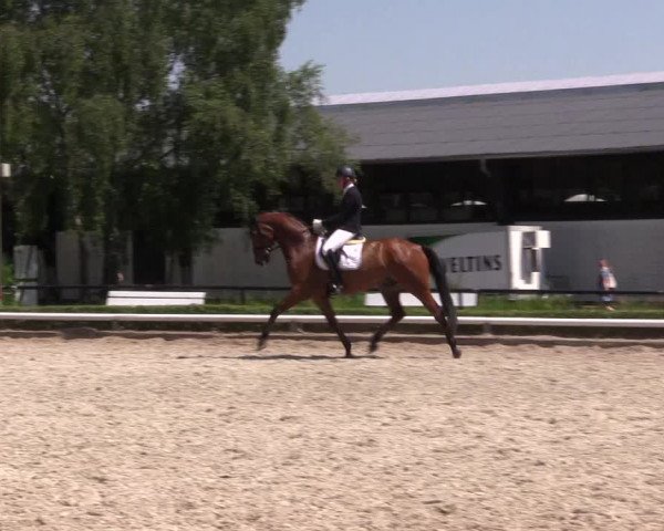 Reitturnier Hamm-Rhynern 2023