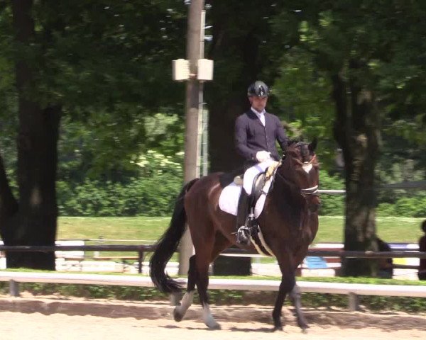 Reitturnier Hamm-Rhynern 2023